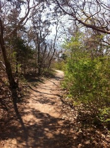The Knobs Trail