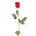 valentine's day getaway long stem rose