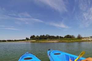 Kayaking in upper cape cod