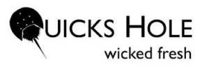 Quicks Hole Logo
