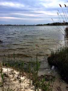 5 great hiking trails in upper cape cod salt pond