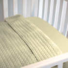 Baby Tea Green Quilted Crib Blanket