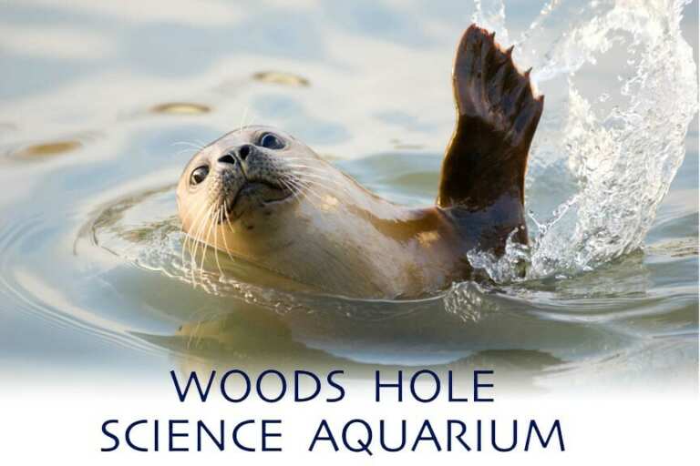 Woods Hole Science Aquarium - America's Oldest Marine Aquarium